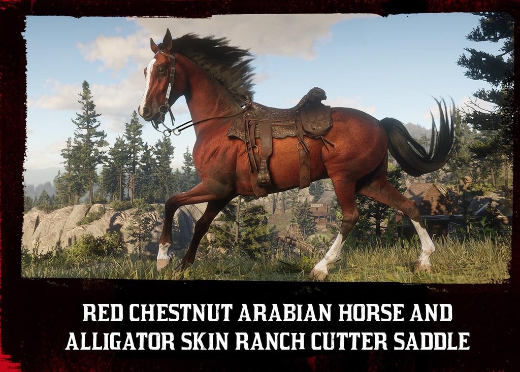 Kızıl Arap Atı