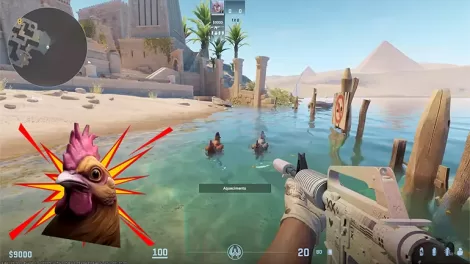Counter-Strike 2 İçin Gelen Yeni Güncelleme ile Tavuklar Artık Yüzebiliyor!